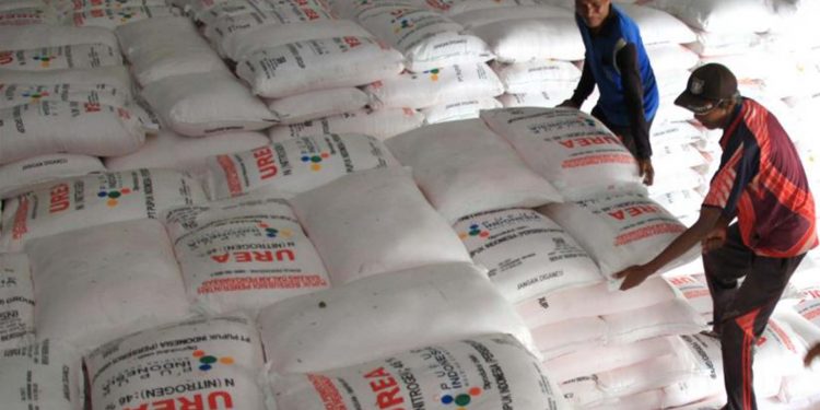 Syarat Petani Untuk Peroleh Pupuk Bersubsidi