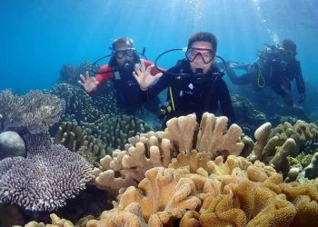 Promosikan Pariwisata Disparbud Gelar Event Bolsel Diving Festival 2021