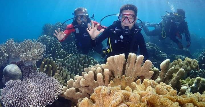 Promosikan Pariwisata Disparbud Gelar Event Bolsel Diving Festival 2021
