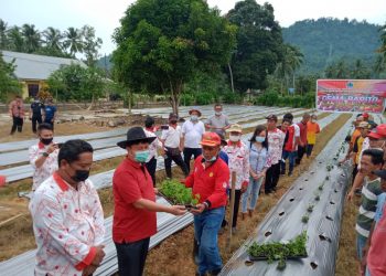 Dispertanak Sulut Gelar Kegiatan GEMA BARITO di Bolsel