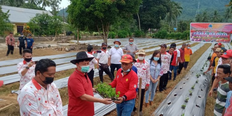 Dispertanak Sulut Gelar Kegiatan GEMA BARITO di Bolsel