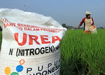 Ini Penjelasan Dispertangan Bolsel Soal Kelangkaan Pupuk