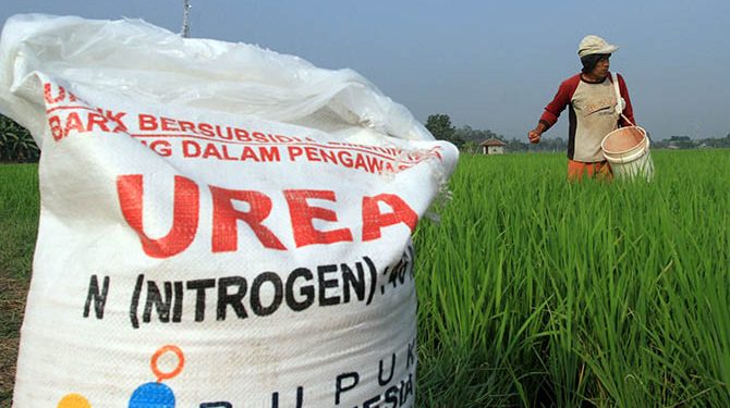 Ini Penjelasan Dispertangan Bolsel Soal Kelangkaan Pupuk