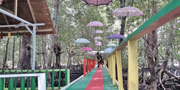 Liburan Wisata Mangrove Trans Pato’a Bisa Jadi Pilihan