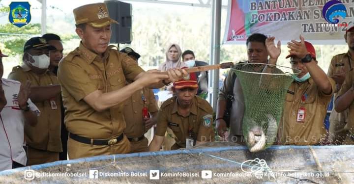 Bupati Hadiri Panen Perdana Budidaya Ikan Nila Sistem Bioflok di Desa Popodu