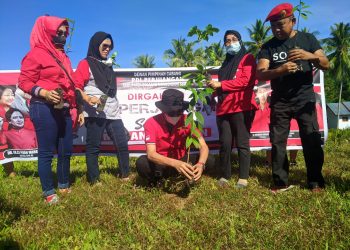 DPC PDIP Bolsel Serentak Gelar Penanaman Pohon