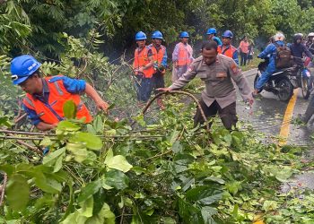 Tim Patroli Polres Bolsel Lakukan Pembersihan Pohon Tumbang yang Tutupi Akses Jalan Pinolosian