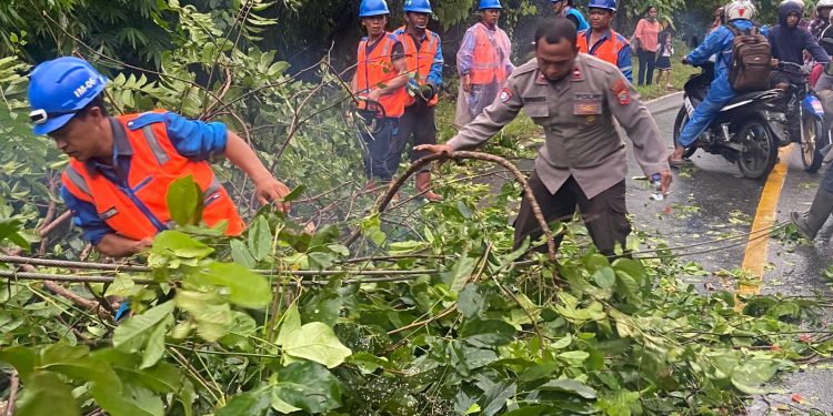 Tim Patroli Polres Bolsel Lakukan Pembersihan Pohon Tumbang yang Tutupi Akses Jalan Pinolosian