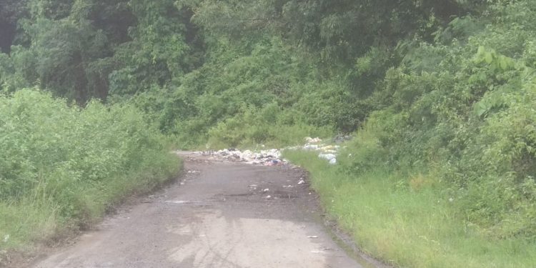 Sejumlah Sangadi Mengeluh ke Wakil Rakyat Soal Lahan TPA di Bintauna