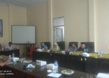 Melalui RDP, Suriansyah Korompot Beri Saran Ke Pemerintah Soal Triple Helix