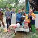 Korban Rumah Tertimpa Pohon di Desa Soligir Dapat Bantuan Sembako Dari BPBD Bolmut