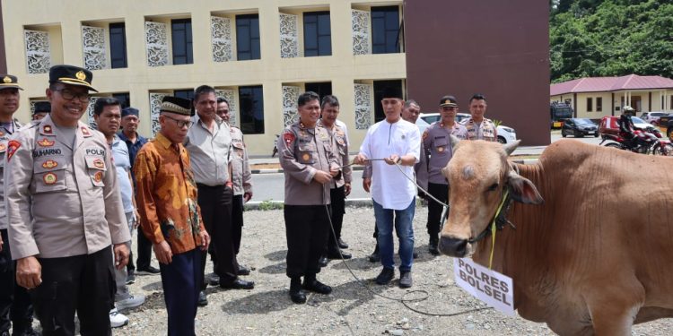 Kapolres Bolsel Serahkan Hewan Kurban Idul Adha 1444 H ke Pengurus Masjid