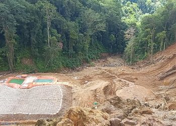 Ini Tanggapan Pengamat Lingkungan Terkait Dampak PETI di Hulu Tobayagan