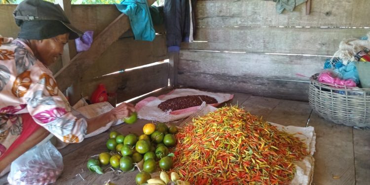 Semangat 45 Nurtima Popana di Bukit Gihang