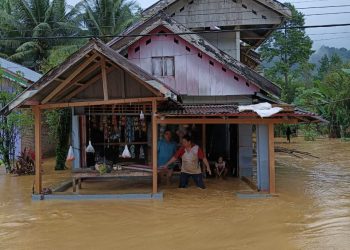 Banjir dan Longsor Kembali Landa Sejumlah Wilayah Pinolosian Bersatu, Kabupaten Bolsel