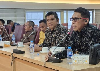 Selain Infrasturktur, Ketua Komisi II DPRD Bolsel Sampaikan Hal ini Ke Yasti Soepredjo Mokoagow