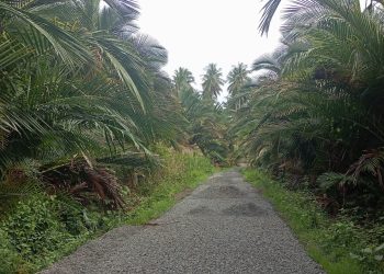 Kontraktor Tak Mampu Selesaikan Proyek Jalan, PUTR Bolmut Lakukan Pemutusan Kontrak