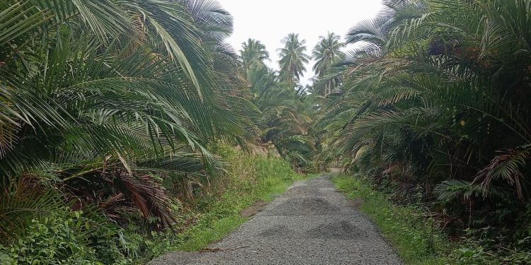 Kontraktor Tak Mampu Selesaikan Proyek Jalan, PUTR Bolmut Lakukan Pemutusan Kontrak