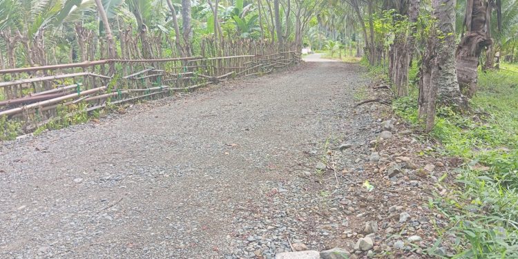 APH Didesak Untuk Membidik Proyek Rp 1,3 Miliar yang Putus Kontrak