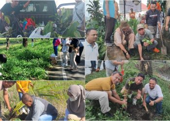 Penghijauan di Kawasan Perkantoran Pemkab Bolmong Dengan Tanaman Buah-Buahan