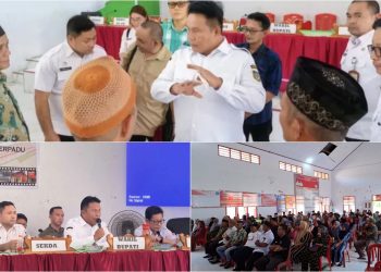 Wabup Deddy Sosialisasikan Program DAK Tematik PPKT di Desa Motandoi Selatan