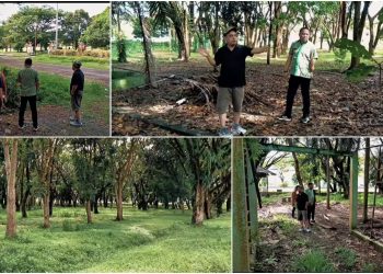 Bupati Yusra Rencanakan Renovasi Taman Kota di Kawasan Perkantoran Jadi Desnitasi Wisata Kuliner