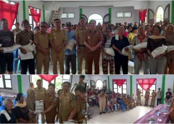 Serentak Digelar di Enam Desa, Wabup Dony Salurkan Beras CPPD di Desa Siniyung