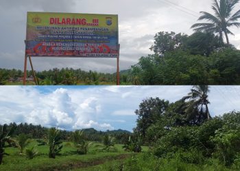 Astaga! Baliho Milik Polres Bolmut Berisi Larangan Aktivitas PETI Hilang di Lokasi Pemasangan