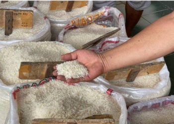 Harga Beras Makin Mencekik, Pemkab Bolsel Siapkan Langkah Intervensi Kucurkan 29 Ton CPPD
