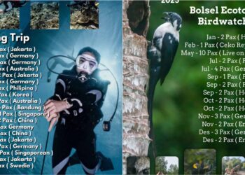 Birdwatching dan Diving di Bolsel Jadi Magnet Wisatawan Mancanegara