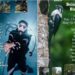 Birdwatching dan Diving di Bolsel Jadi Magnet Wisatawan Mancanegara