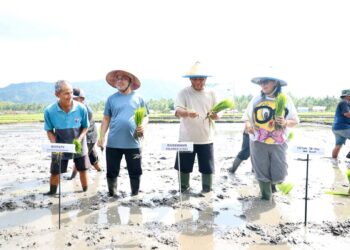 Perkuat Ketahanan Pangan Daerah, Gubernur Sulut Bersama Bupati Bolmong Tanam Padi di Desa Solog