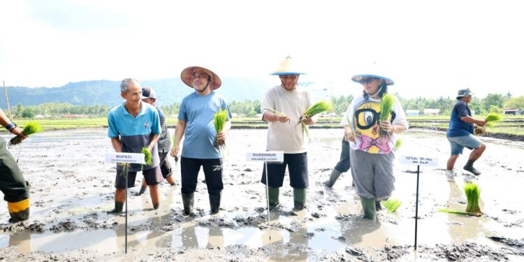 Perkuat Ketahanan Pangan Daerah, Gubernur Sulut Bersama Bupati Bolmong Tanam Padi di Desa Solog