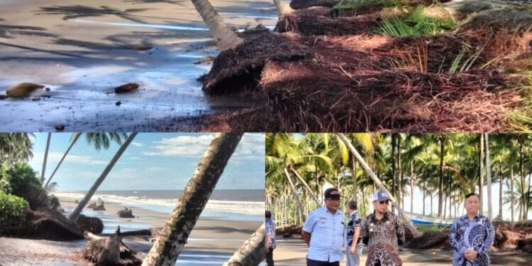 Satu Dekade Abrasi Pantai Hantui Desa Busisingo Utara