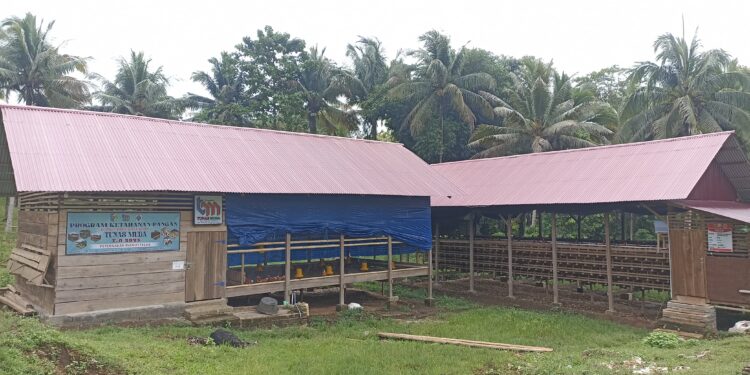 BUMDes Tunas Muda Kopi Produksi Ratusan Butir Telur Setiap Hari